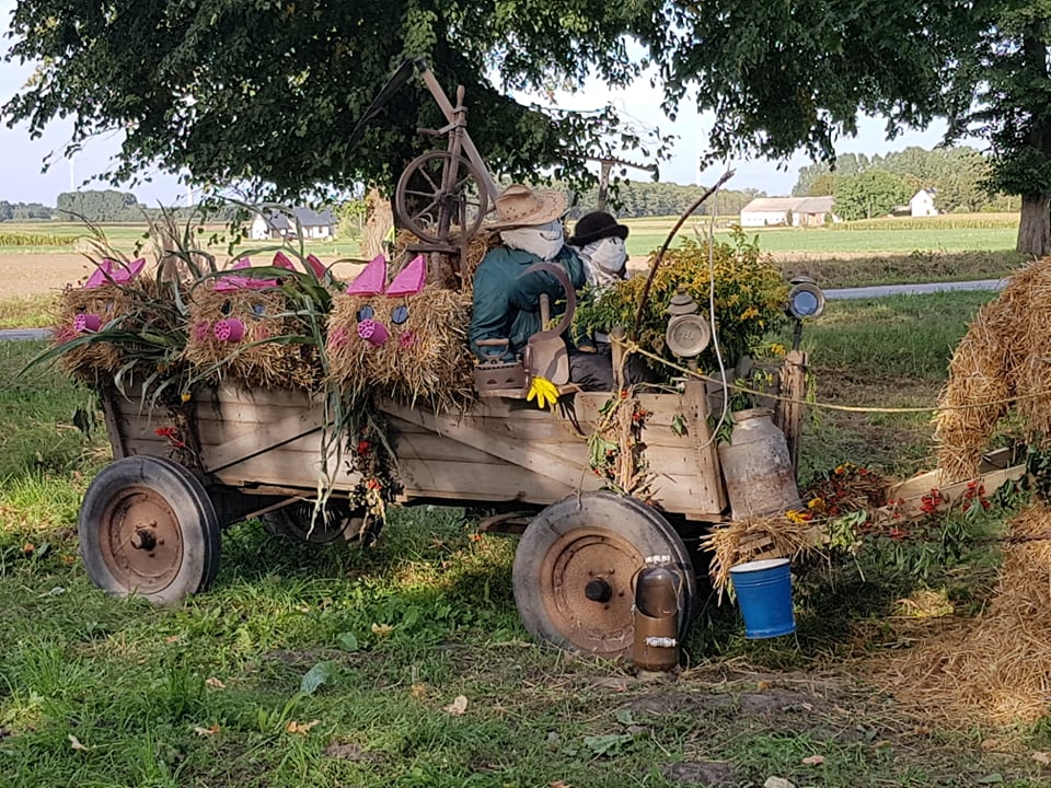 Witacz dożynkowy