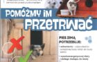 Pomóżmy im przetrwać