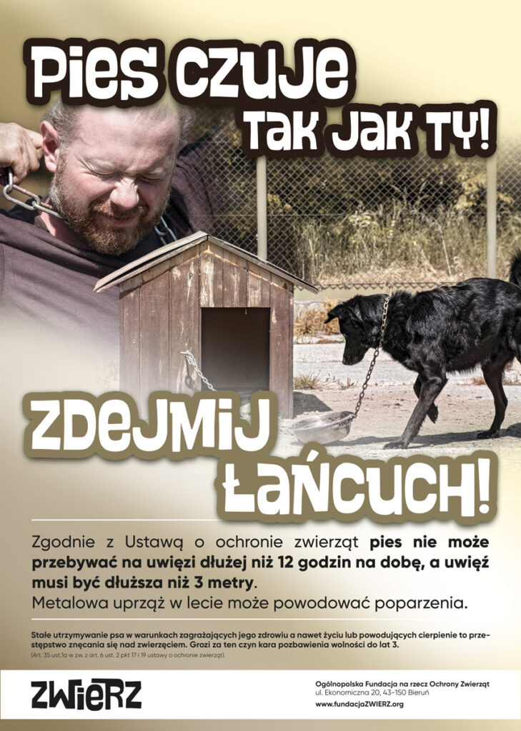 Plakat dot. zwierząt na łańcuchu