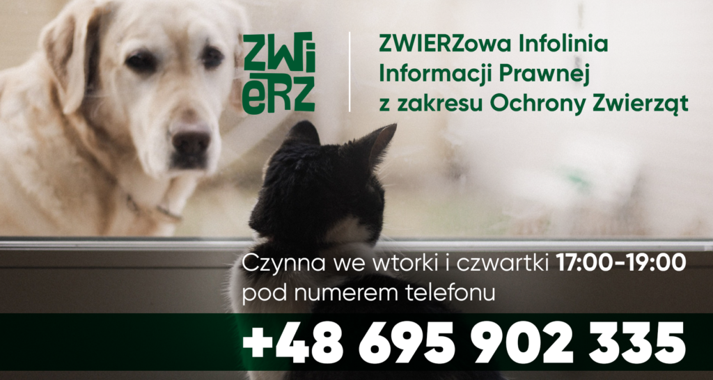 Zwierz infolinia