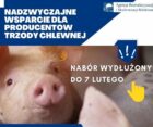 https://www.ugdl.pl/pomoc-z-prow-dla-hodowcow-swin-czas-na-skladanie-wnioskow-wydluzony-do-7-lutego/